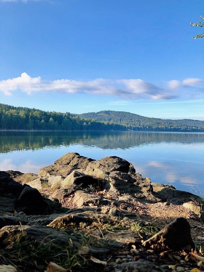 Apartman Riviera 41 Lipno nad Vltavou Zewnętrze zdjęcie